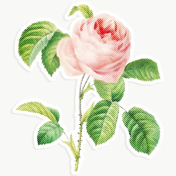 Blooming pink rose flower halftone style design element sticker | Free  transparent png - 2337847