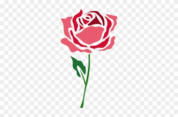 Blooming Rose Flower Icon Flower Transparent Png - Bouqet Ogf Roses Icon