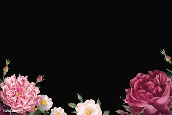 Blooming roses banner | Free stock vector - 582867