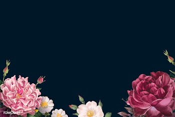 Blooming roses banner | Free stock vector - 582951