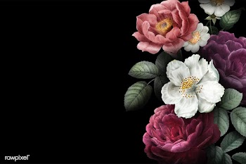 Blooming roses banner | Free stock vector - 583057