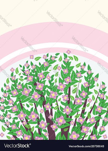 Blooming sakura banner vector image