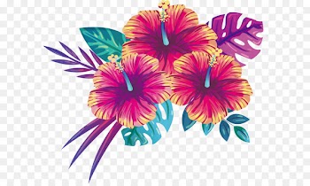 Blooming summer flowers 