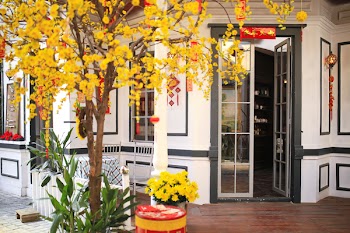 Blooming yellow flower decoration in front of asian house in Lunar New year.