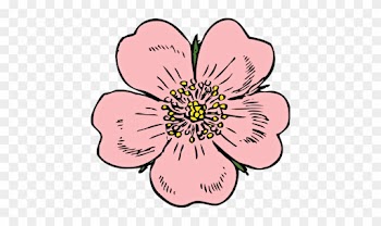 Blossom 20clipart - Blossom Flower Clip Art