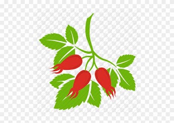 Blossom, Flower, Red Rose, Rose, Rosebud Icon - Rose