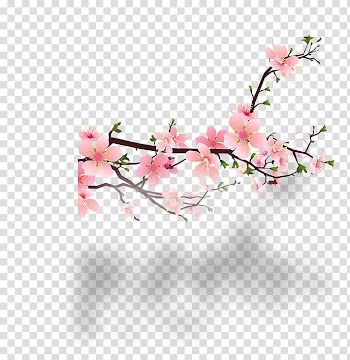Blossom Peach , Plum flower transparent background PNG clipart