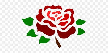 Blossomed Deep Red Rose - Vector Rose Png Black And White