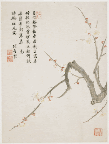 Blossoming plum from a Flower | Free Photo - rawpixel