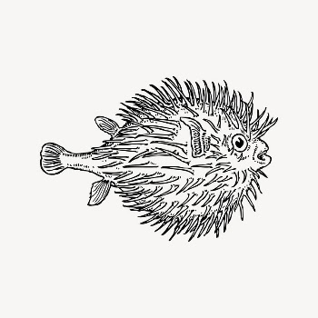 Blowfish clipart, vintage illustration vector. | Free Vector Illustration - rawpixel