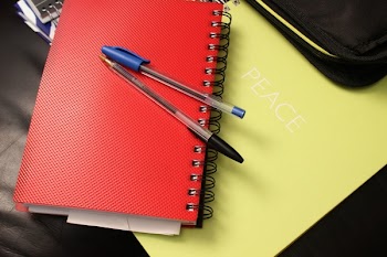 Blue and Black Ball Point Pens on Red Hand Book
