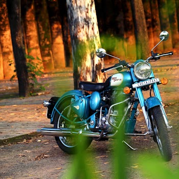 Blue and Black Cruiser Motorcycle Parked Beside Tree