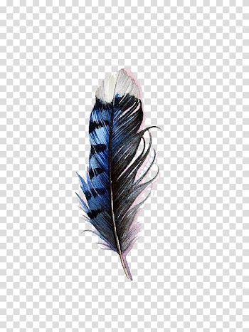 Blue and black feather decor, Bird Tattoo Feather Blue jay Watercolor painting, Blue watercolor feathers transparent background PNG clipart