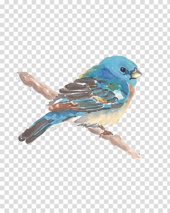 Blue and brown bird , Bird Watercolor painting Drawing, Birds transparent background PNG clipart