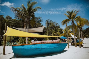 Blue and Brown Boat Near Green Palm Trees