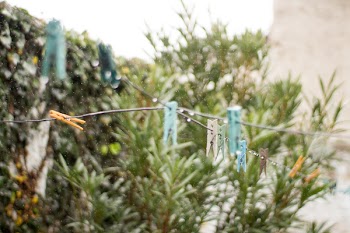 Blue and Brown Clothes Clip on Wire