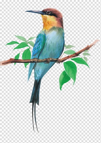 Blue and brown hummingbird art, Bird Dog Watercolor painting Cartoon Illustration, Birds transparent background PNG clipart