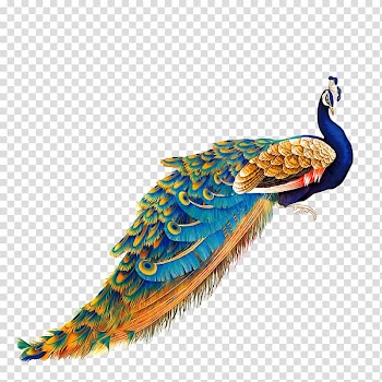 Blue and brown peacock, Bird Peafowl Painting, Color Golden Peacock transparent background PNG clipart