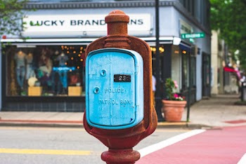 Blue and Brown Police Patrol Box