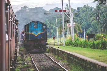 Blue and Brown Train