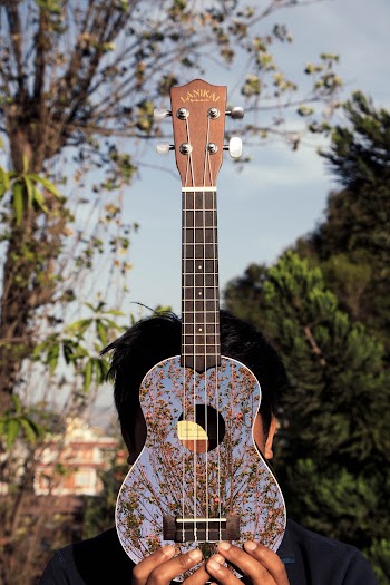 Blue and Brown Ukulele