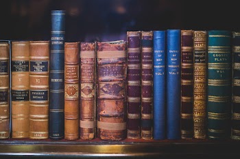 Blue and Gold Cover Book on Brown Wooden Shelf