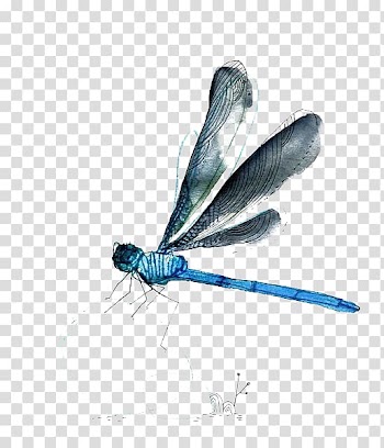 Blue and gray dragonfly illustration, Watercolor painting, dragonfly transparent background PNG clipart