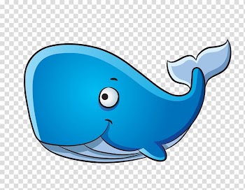 Blue and gray whale , Dolphin Blue whale Drawing Humpback whale, whale transparent background PNG clipart
