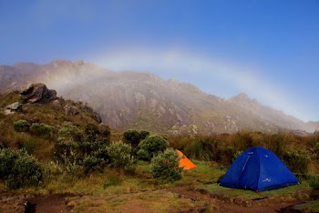 Blue and Orange Dome Tents Near Plants