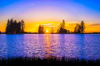 Blue and Orange Sunset over Lake With Tree Silhouettes