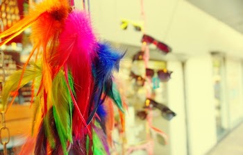 Blue and Pink Feather Decor