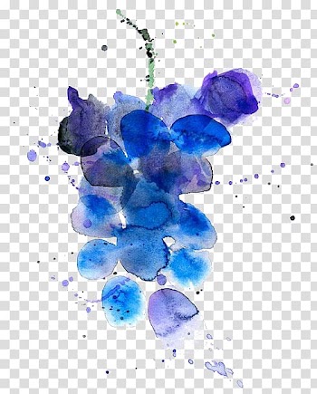 Blue and purple flower , Wine Grape Watercolor painting Fruit Illustration, grape transparent background PNG clipart