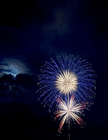 Blue and Red Brocade Fireworks at Night