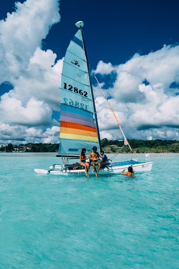 Blue and Red Sailing Boat