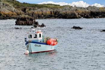Blue and White Boat With Buoys on the Side