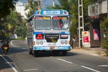 Blue and White Bus