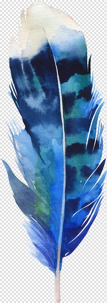 Blue and white feather illustration, Feather Drawing Boho-chic Illustration, feather transparent background PNG clipart
