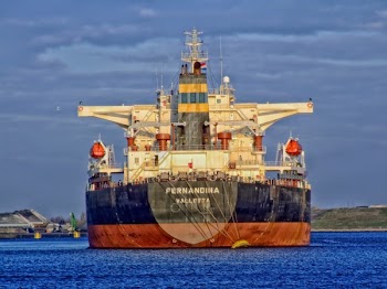 Blue and White Fernandina Ship on Ocean