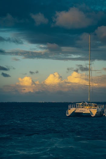Blue and White Sailing Boat