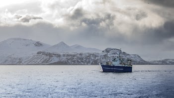 Blue and White Ship in Body of Water