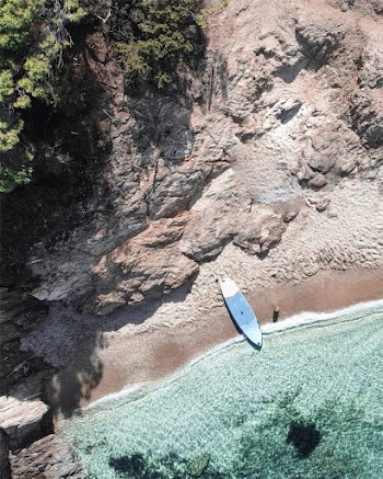 Blue and White Surfboard