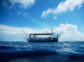 Blue and Yellow Boat on Calm Body of Water