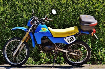 Blue and Yellow Suzuki Ts