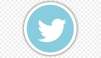 blue aqua beak sky bird - Twitter 