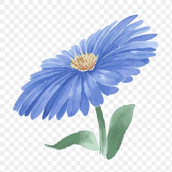 Blue aster flower transparent png watercolor sticker