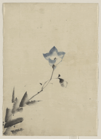 [Blue blossom at the end | Free Photo - rawpixel