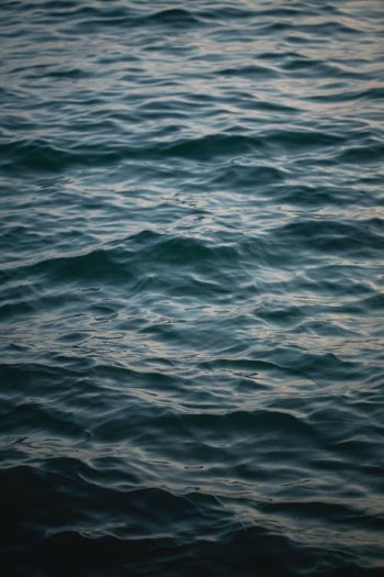 Blue Body of Water · Free Stock Photo