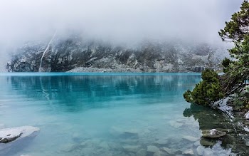 blue body of water surrounded by trees