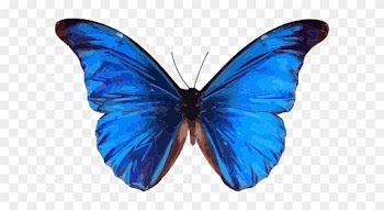 Blue Butterfly Clip Art - Blue Butterfly Clipart Transparent