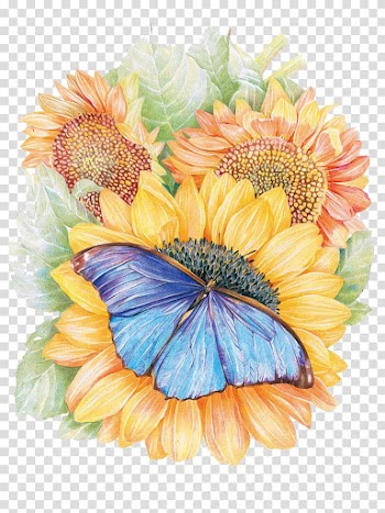 Blue butterfly on yellow flowers illustration, Monarch butterfly Flower Drawing Painting, sunflower transparent background PNG clipart